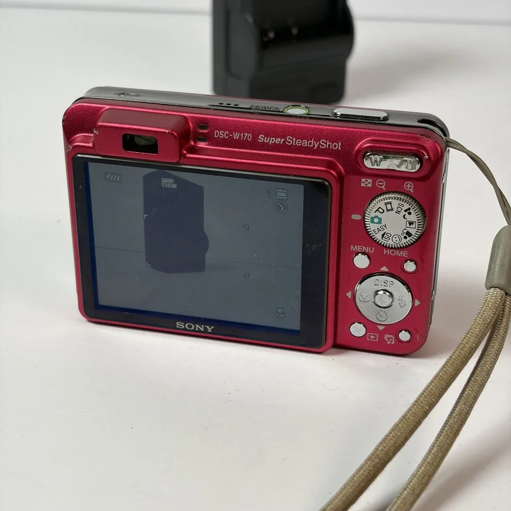 Sony Cyber-shot DSC-W170 10.1MP Digital Camera Red w/ Charger & Extra Battery